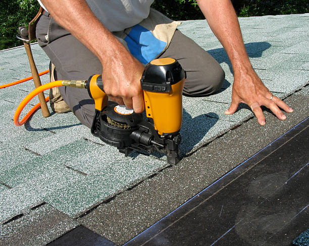 Best Roof Gutter Cleaning  in North Kingsville, OH