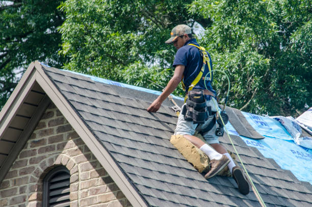Roof Gutter Cleaning in North Kingsville, OH